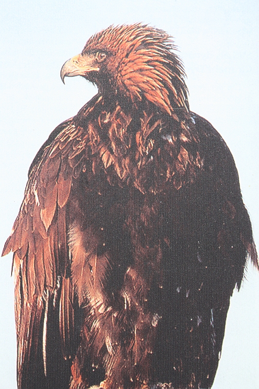 Bulgaria 2008 567